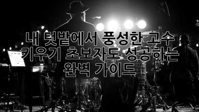 내 텃밭에서 풍성한 고수 키우기: 초보자도 성공하는 완벽 가이드